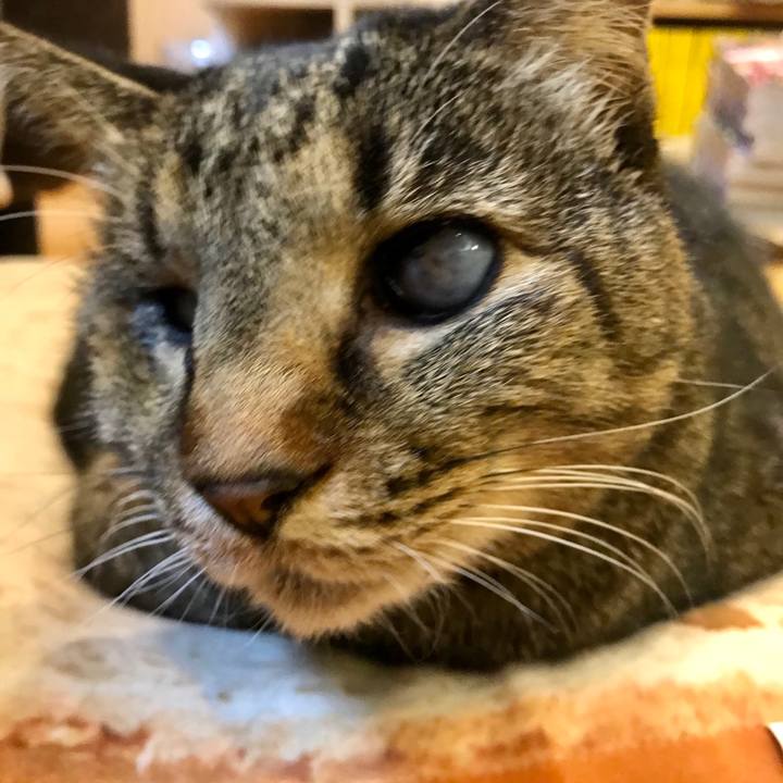 F10599dd 5f50 4a61 bd44 916e2fcb3e8b 1577279984482