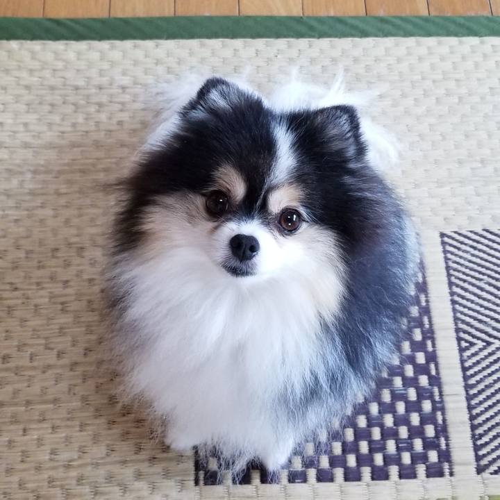 F105bf2c 8e63 46c2 9191 9d9b64e67596 1598050653673