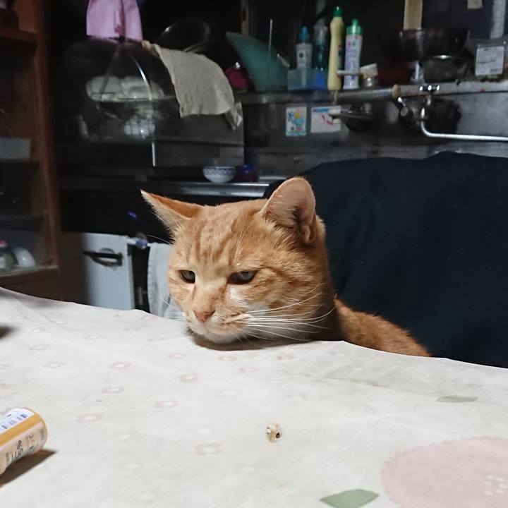 F105d3fa 7002 499c b9de 0dc12c5956ba 1606856034296