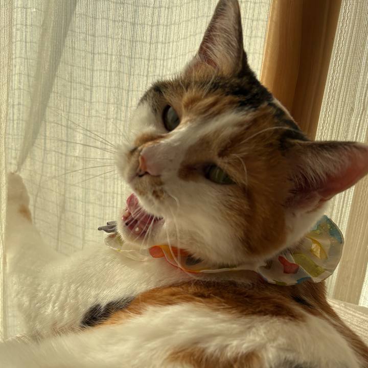 F105ddc4 b215 4d0f 9a68 bf4dd00ee7d8 1771681319611