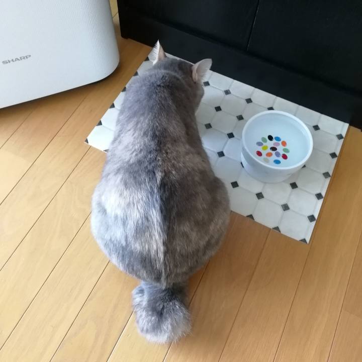 F105dfb4 38ed 46c5 be05 23588de73a1b 1555736720428