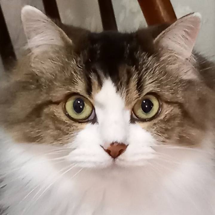 F1063fbf 792a 4363 bdc0 b1debd7b4829 1603528466272