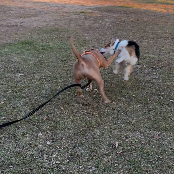 F1065432 762e 48bc b3e8 419299d2572c 1763866984061