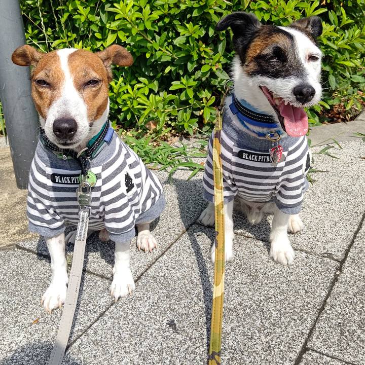 F106c0a8 d910 4e7a b6e7 98094874feee 1687565400382