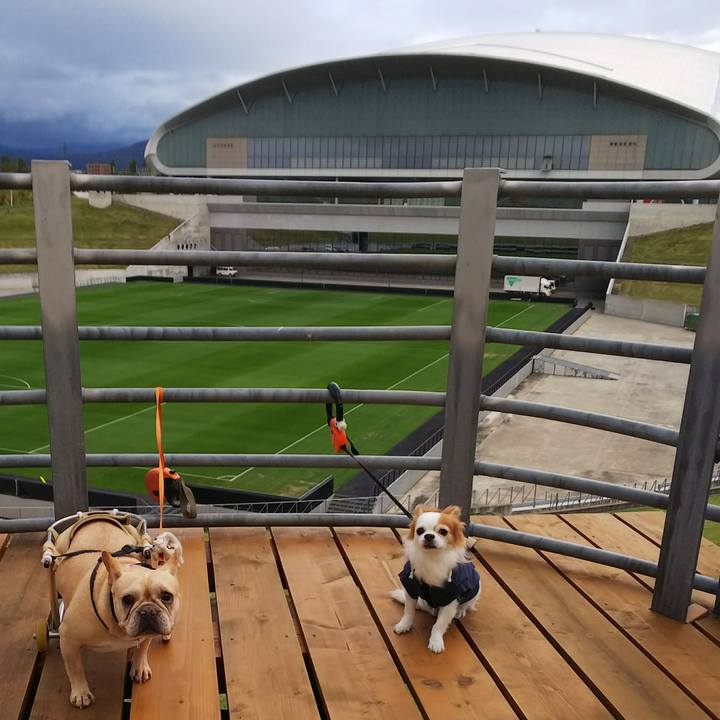 F106d11b 9617 4eb7 9614 90c4bff8a9da 1537607386237