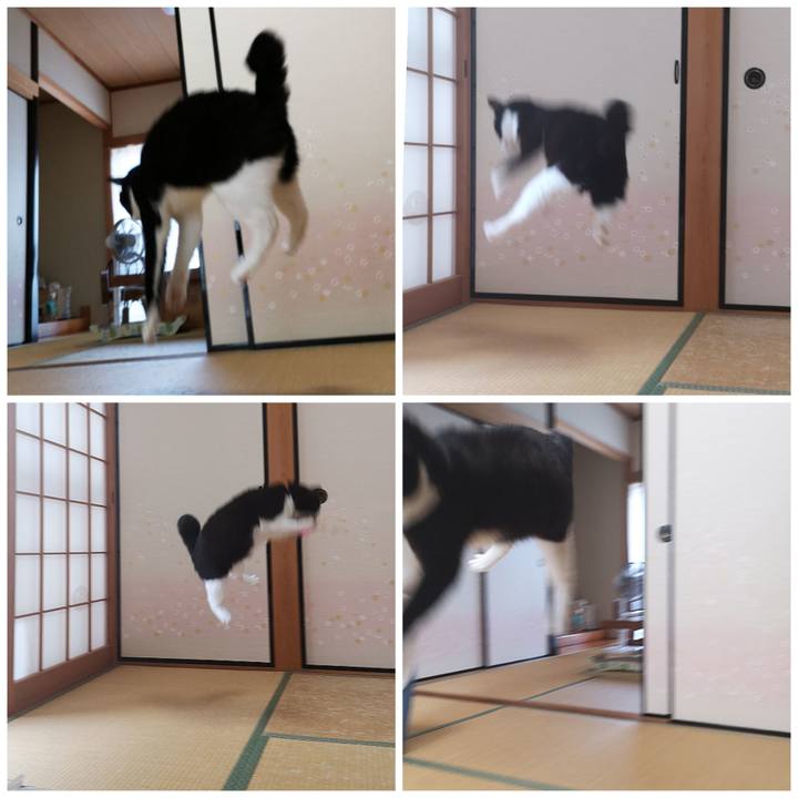 F1074157 9dcf 4453 82db 81635128f1b2 1593244559727