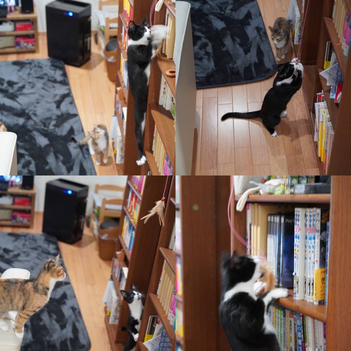 F1076844 5ce2 4cf4 991c cbc27535c66e 1576799768575