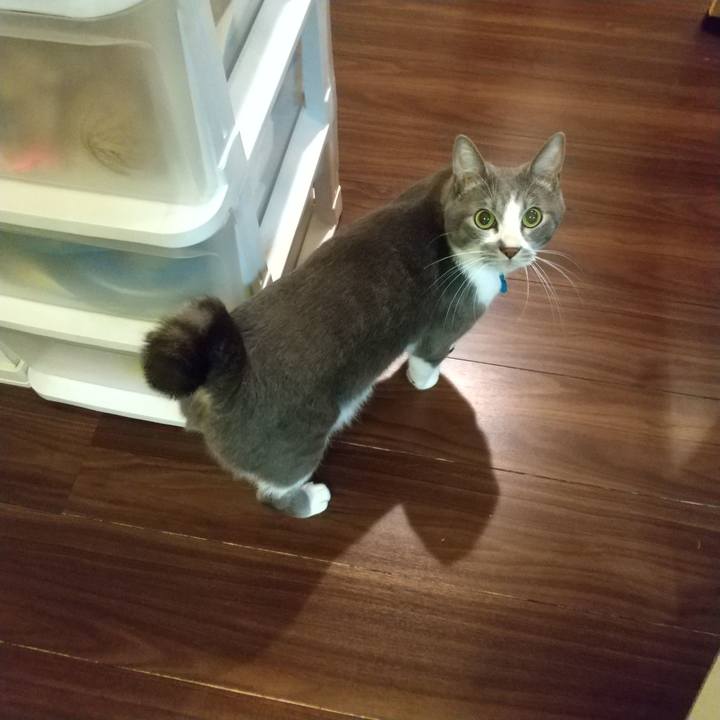 F107a650 0f61 4977 81a0 75a3ba5bf0d1 1639750830802