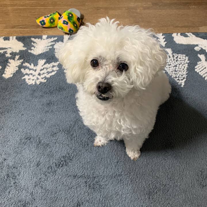 F107b67c 9843 40de a978 341b4876f705 1640511842859