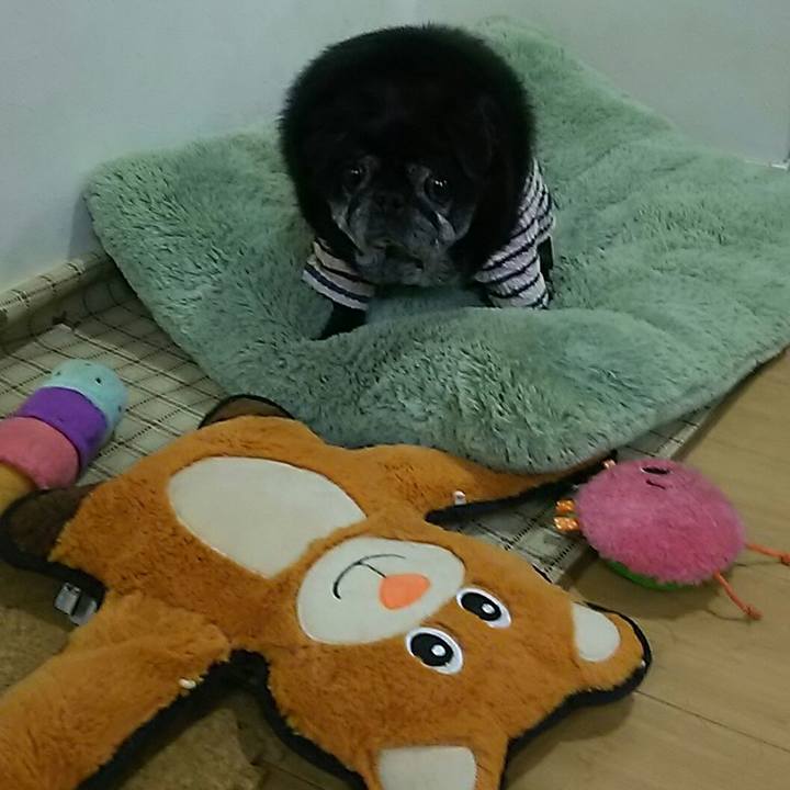 F107b6c4 d4d2 4ba9 a26b af0e1081343e 1540742715458