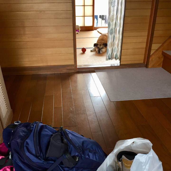 F107daab b8be 4ddd 8495 da8fafad8251 1527323252660