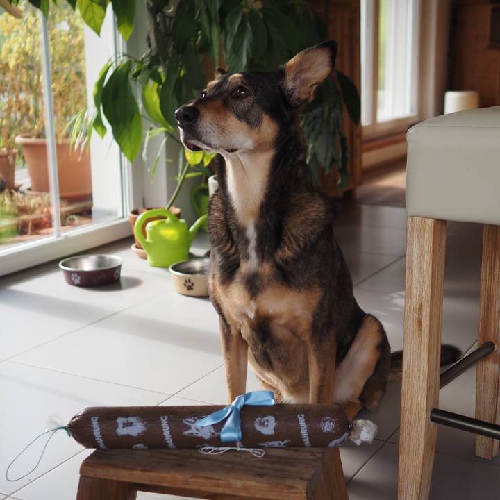 F10826e4 32a5 45a4 a22d f11e669fa872 1665141093635