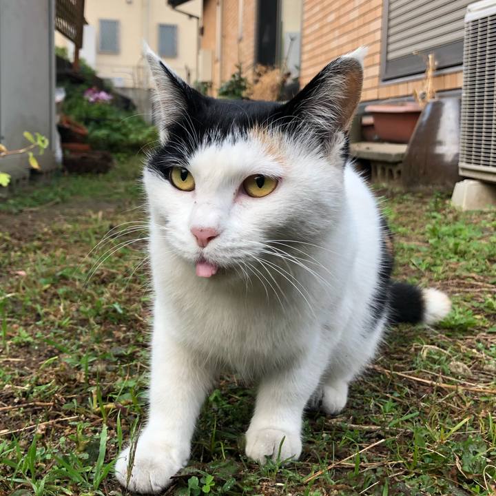 F10852d8 7dd9 4ad7 b9ef dc8e1111c33e 1603923718895