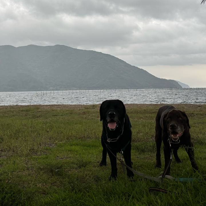 F108598c 6f5e 4f06 86ea 63e18dfa1f56 1758367294433