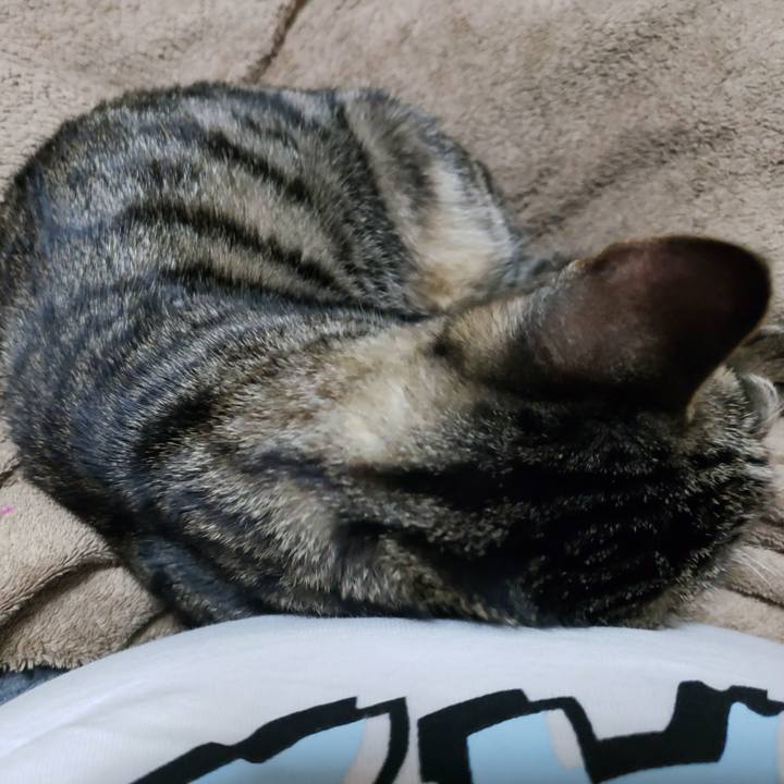 F108619a 5ab7 48c5 81d7 5d57f3cdca9c 1542447493151