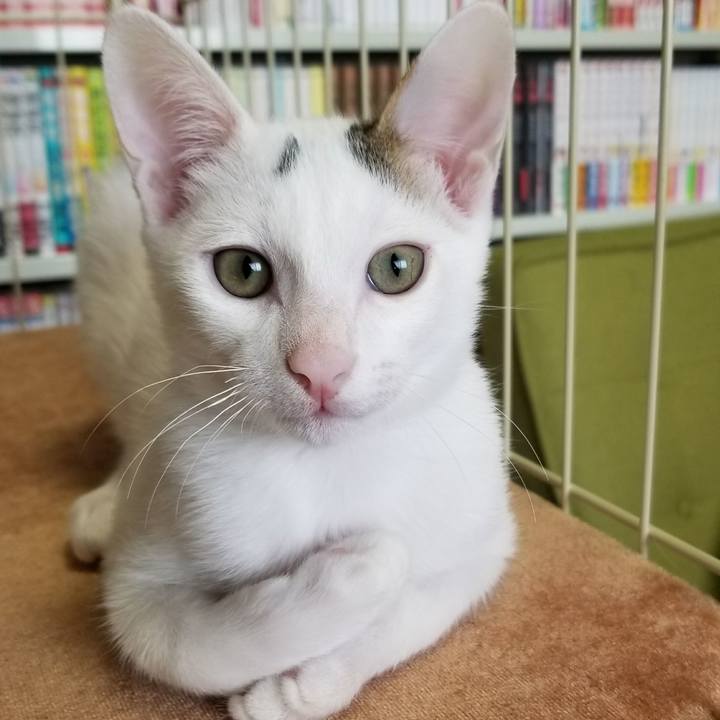 F1086aed b800 4c93 8291 d990bb0b4f0f 1508083237255