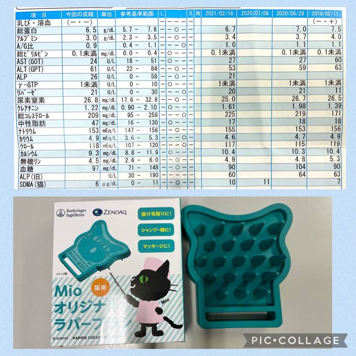 F1086d94 b40b 4a9c 8e9b 7ada9bfca6b6 1649539492709