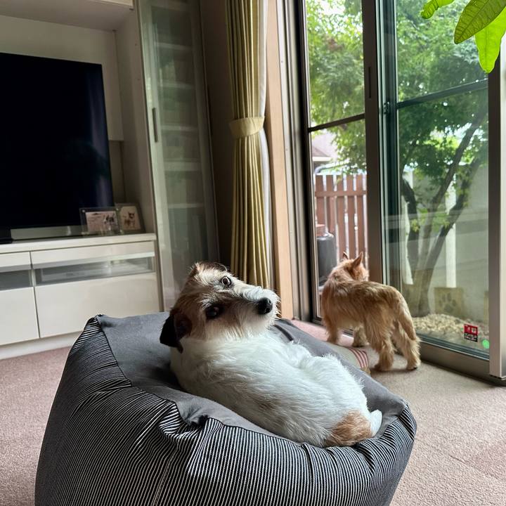 F10871d6 99aa 4699 8d61 9e1ac45993b6 1719133545162