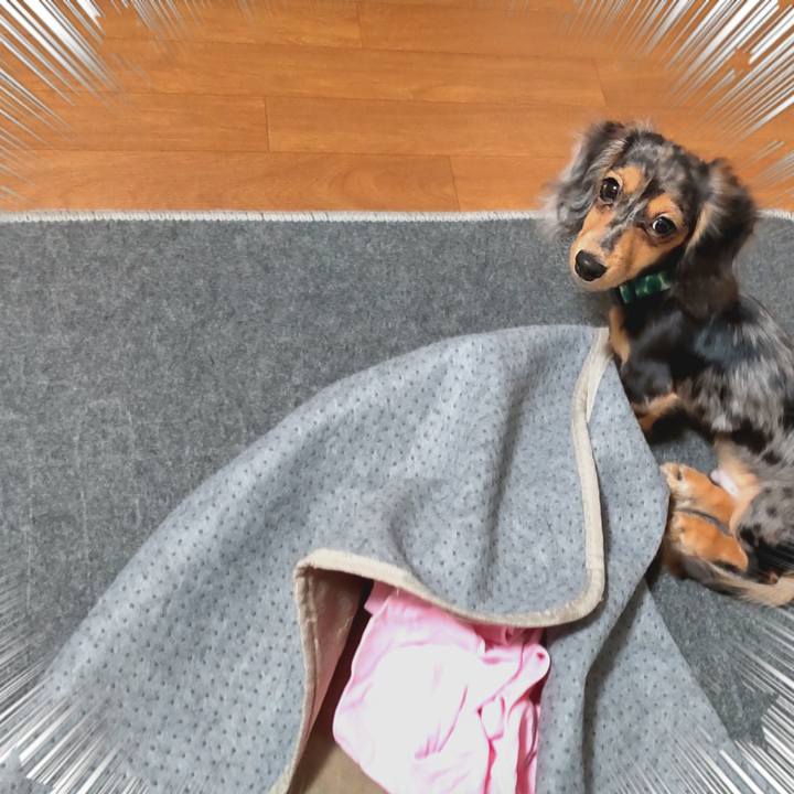 F1088fe6 20f6 4018 9b4a b986c37c58d2 1700437560487