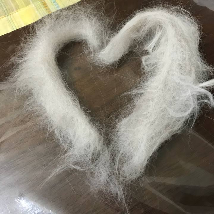 F108a914 1d75 4d6e b0f1 f77f0f8822fc 1519041217387