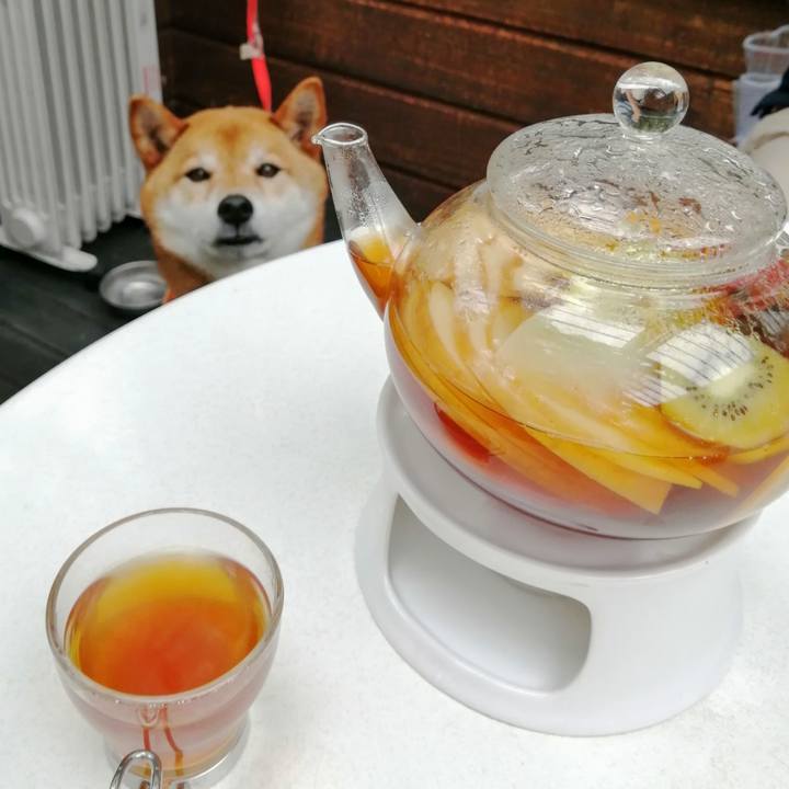 F108ba63 bcb3 42f5 810c 10e3481e765d 1621598232930