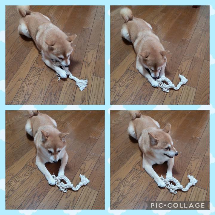 F108e903 a408 46bc 989c 0cfff78e8b71 1754648311400