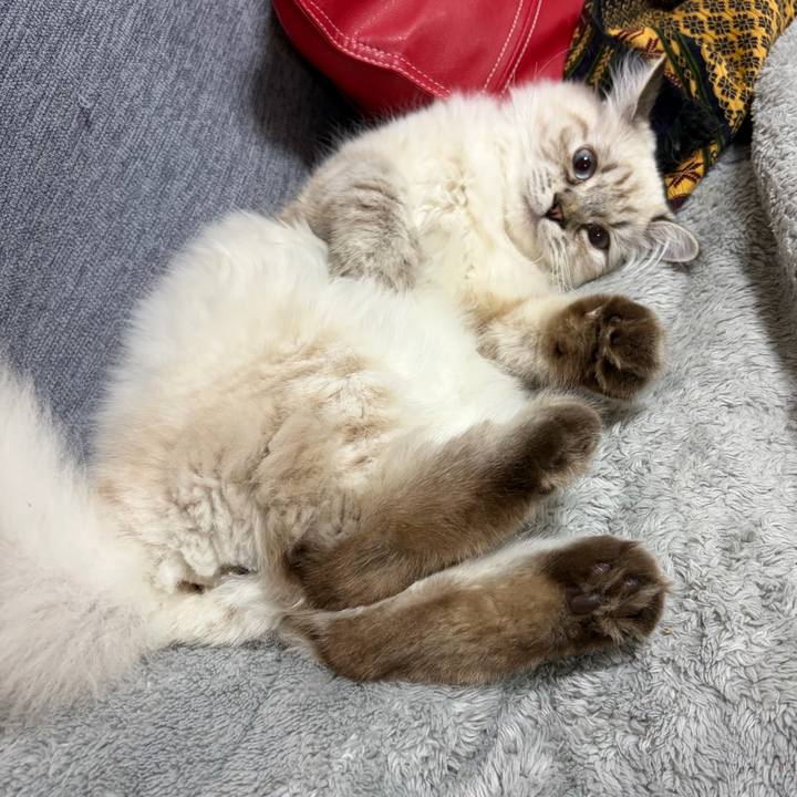 F1091b1e fb9a 49bb 8650 de30b1f7cd65 1773581511551