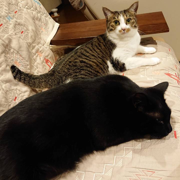 F10921c7 2061 4d7f 91fc 4c4eb8145a98 1607878013899