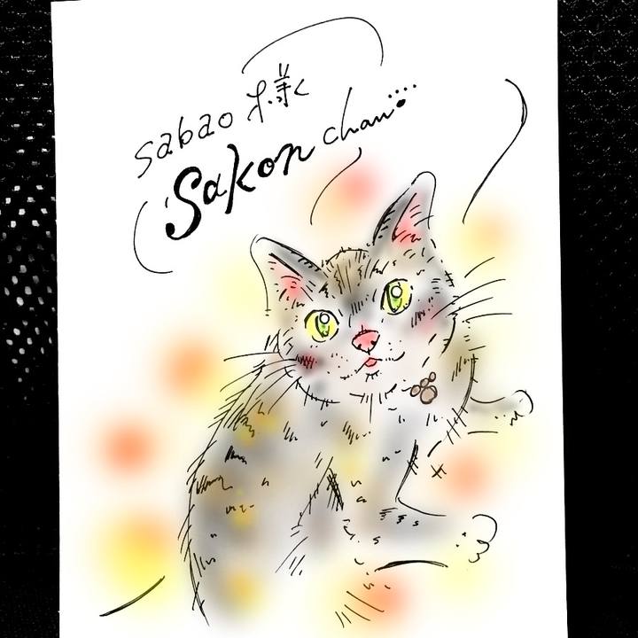 F1094673 3295 4dc2 934e 95072034c8d7 1567689568904