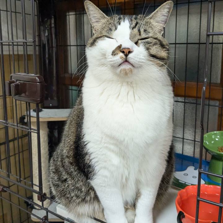 F1095d61 1e8b 4273 9476 16ec14e045f4 1732792626330