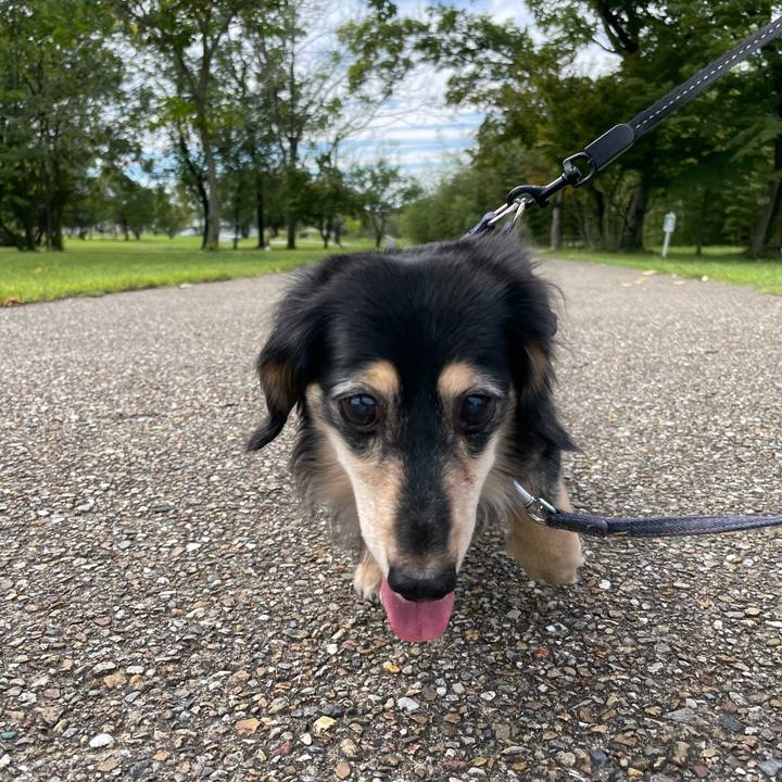 F109ae8e 2404 417a a900 8bd8dd58917c 1663677985890