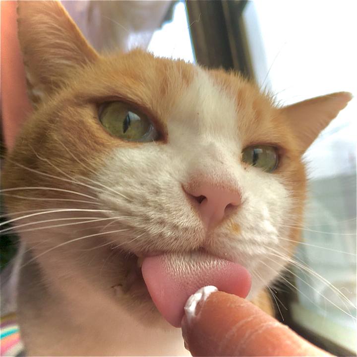 F109b322 e648 4ca7 a883 c1b61afeee7b 1582361590339