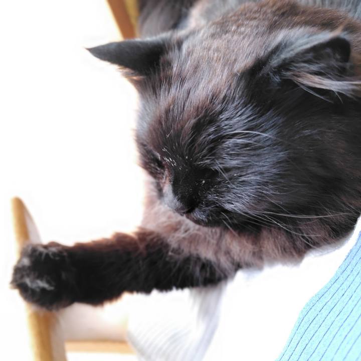 F109bb6f 1dba 4ca1 8ee7 f760cbf0716f 1716882658040