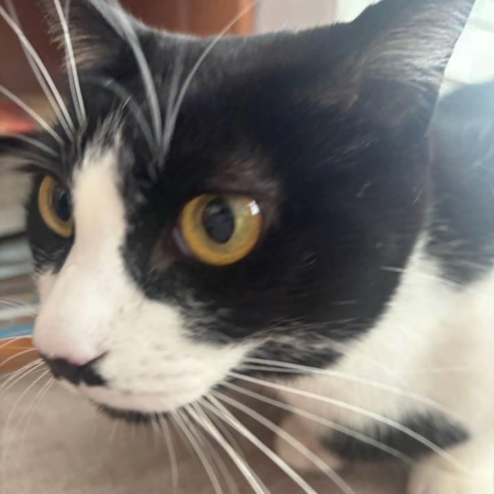 F10a008f 7a1e 4634 bcd3 dd5686cc45cf 1766193872521