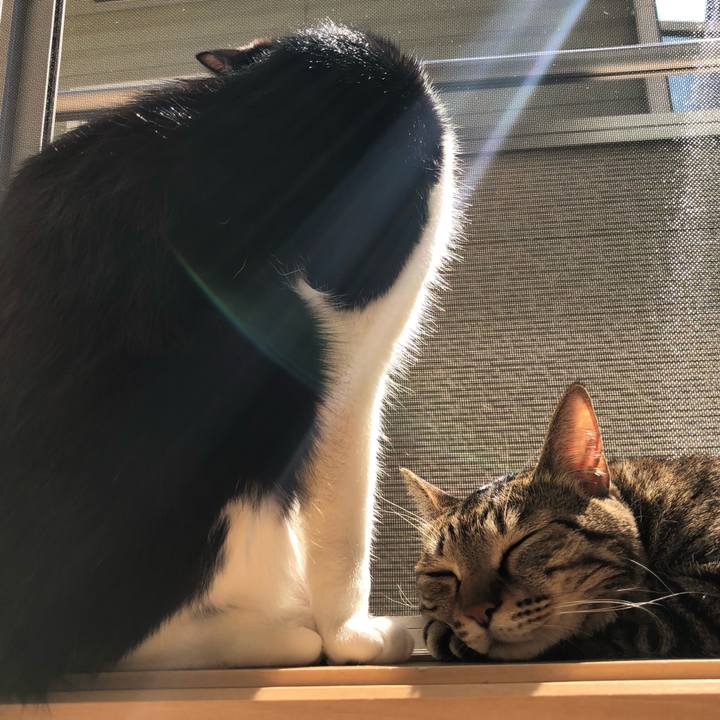 F10a0c3d 7b1d 468b b605 73103598505b 1554611696963