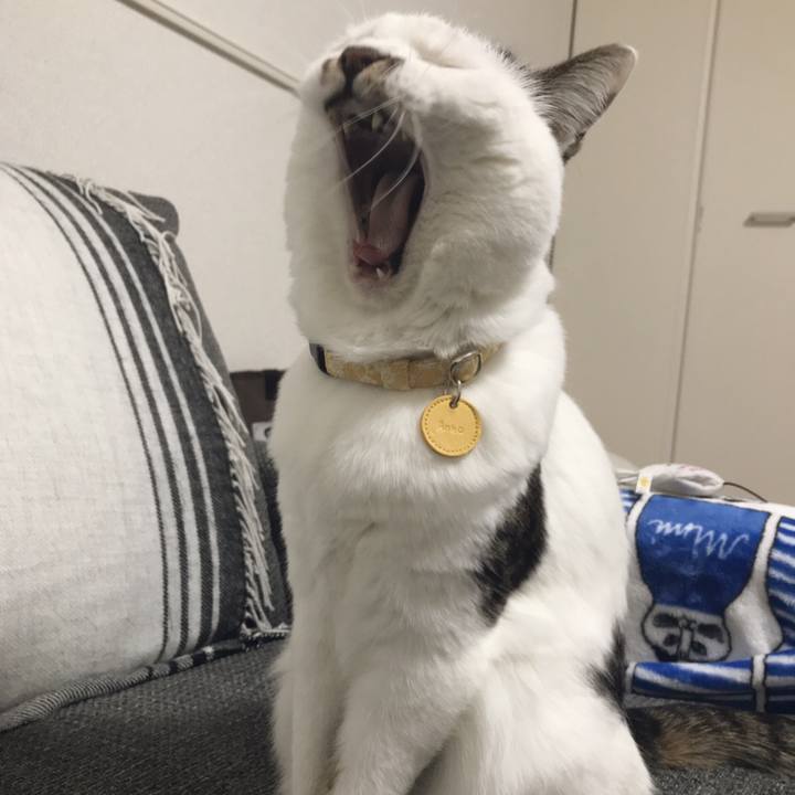 F10a5672 0175 40eb a8af d4c673ba1b8d 1547692706274