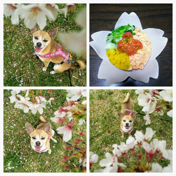 F10a8751 c54d 443e a7f7 a6083ab4a116 1617441525903