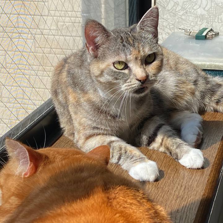 F10aff91 4bd6 4f34 87ed 93ac8c559863 1586392172406