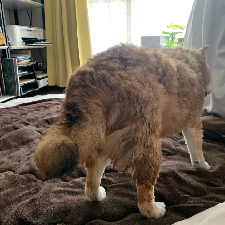 F10b05ac 1637 4820 8023 1646e7b3c9e5 1685316730450