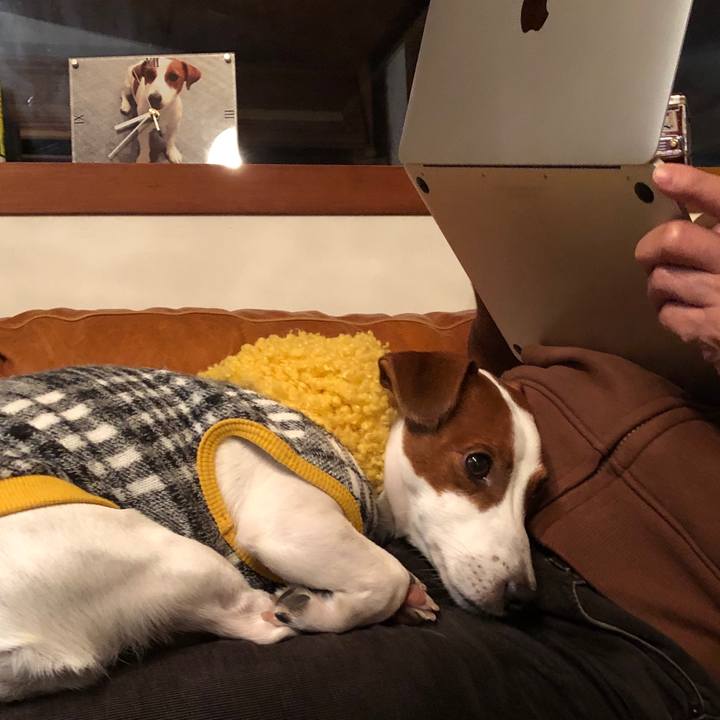 F10b0d2b 08f9 4780 b4a3 304213d533ad 1544528751747