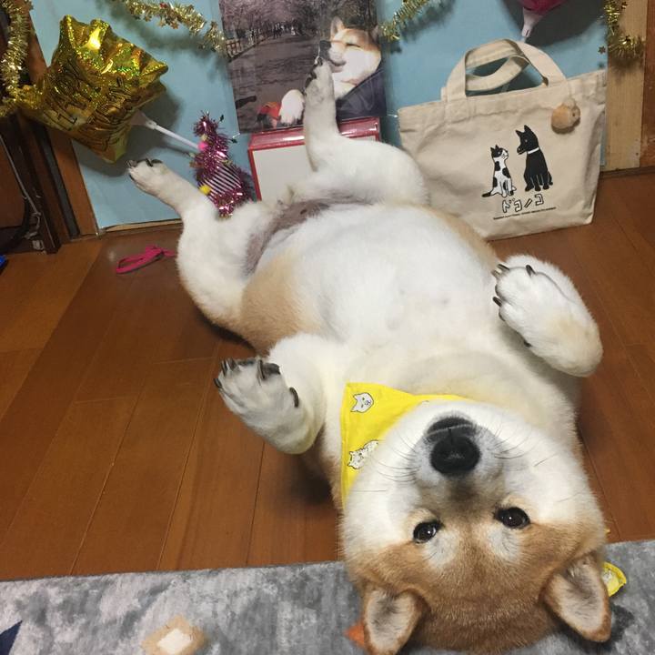 F10b4cd4 278f 4790 a6d7 565681b9a2eb 1591449143288