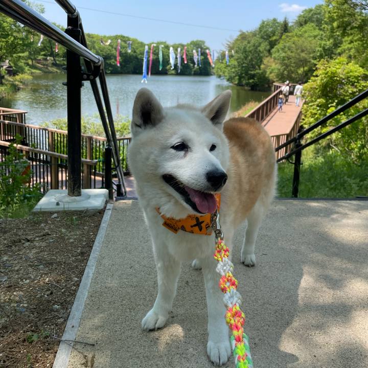 F10b92ff e687 4a2a 92e1 7842e080e0d8 1651725495762