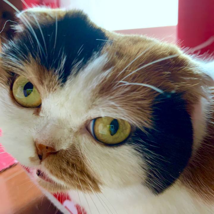 F10bb295 22b4 4e75 8017 9347e287a595 1562970666490