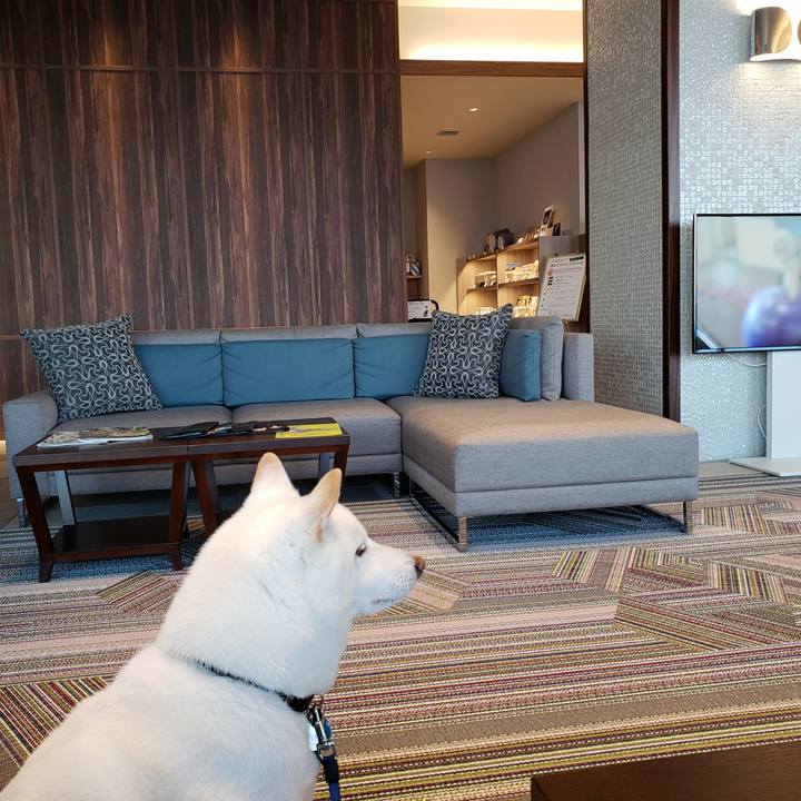 F10bbec9 65f9 4679 854a ceae0928741d 1547770577051