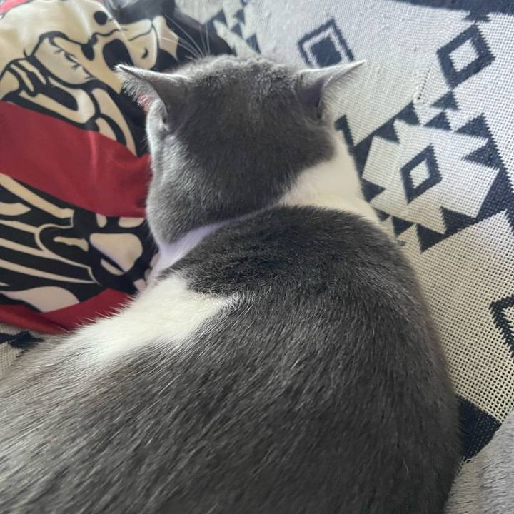 F10bdc0e b1f7 42fa 9eed ae7438dc234c 1690187594441