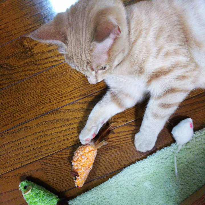 F10bfa1b c729 4968 9036 8a76452cbeec 1545746196268