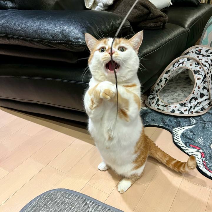 F10c0096 bebc 44e7 82c5 b6d389c1f990 1764299557539