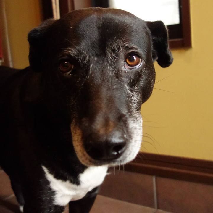 F10c05f8 9fb0 4e66 96d0 5163ea4c66bb 1747960066976