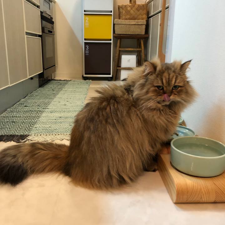 F10c11f7 8a1f 4afb 92c3 6b86fc805f4c 1548163868501