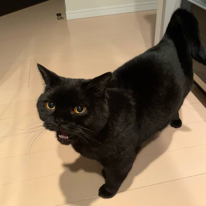 F10c1825 ac85 41df 9d9a a1af15e94d0e 1770727078012